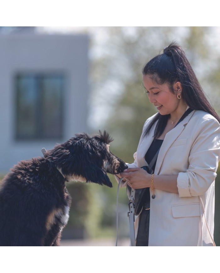 Collare per Cani Trixie CityStyle Nero S/M 30-37 cm Collare per Cani Trixie CityStyle Nero S/M 30-37 cm