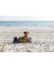 Collari da addestramento per cani Trixie Be Nordic Marrone 50 cm