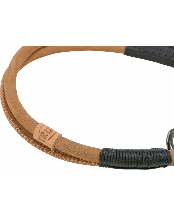 Collari da addestramento per cani Trixie Be Nordic Marrone 35 cm