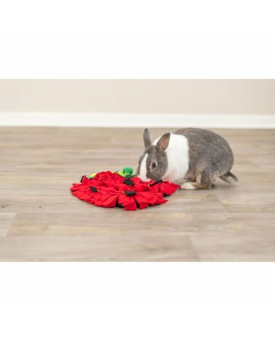 Tappeto da gioco Trixie Rosso Poliestere 33 × 40 cm Tappeto da gioco Trixie Rosso Poliestere 33 × 40 cm