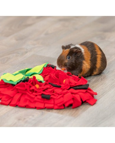 Tappeto da gioco Trixie Rosso Poliestere 33 × 40 cm Tappeto da gioco Trixie Rosso Poliestere 33 × 40 cm