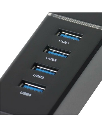 Hub USB iggual IGG319239