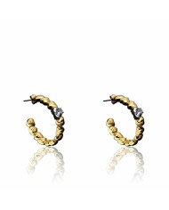 Orecchini Donna Chiara Ferragni J19AVS03 Acciaio inossidabile 3 cm