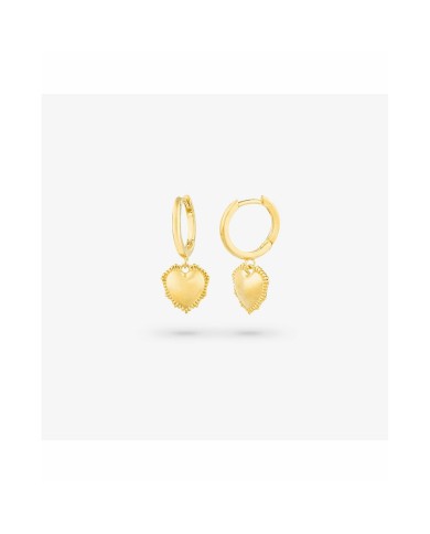 Orecchini Donna Radiant RY000056 Acciaio inossidabile 2,5 cm