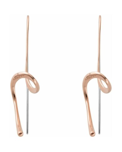 Orecchini Donna Skagen SKJ1432791 Acciaio inossidabile 9 cm