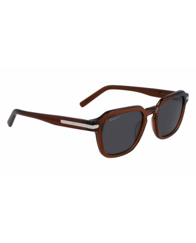 Occhiali da sole Uomo Salvatore Ferragamo SF1089S-5221278 Ø 52 mm Occhiali da sole Uomo Salvatore Ferragamo SF1089S-5221278 Ø 52 mm