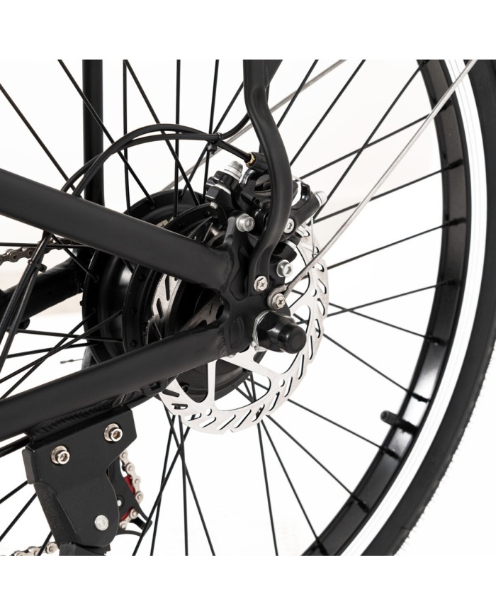 Bicicletta Elettrica Youin BK2226B Nero 250 W 26"