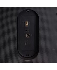 Altoparlante Bluetooth Portatile Denver Electronics