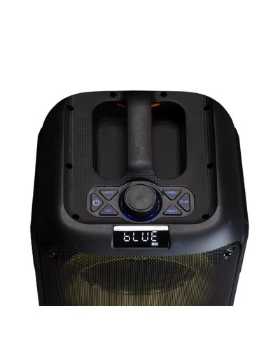 Altoparlante Bluetooth Portatile Denver Electronics