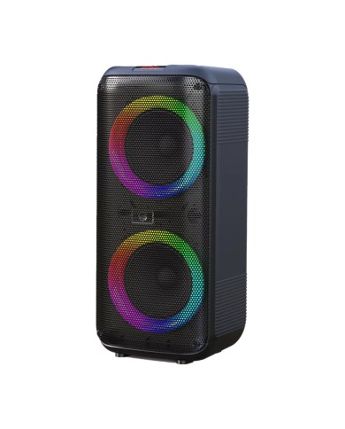 Altoparlante Bluetooth Portatile Denver Electronics