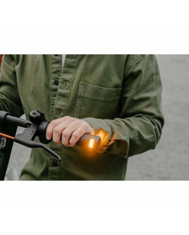 Monopattino Elettrico Segway Nero 450 W