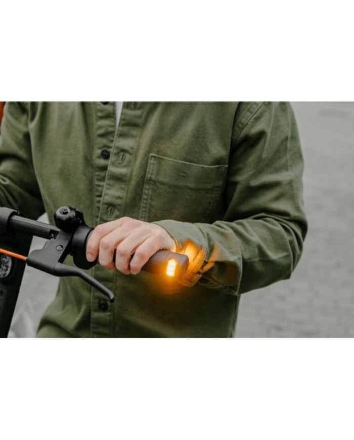 Monopattino Elettrico Segway Nero 450 W Monopattino Elettrico Segway Nero 450 W