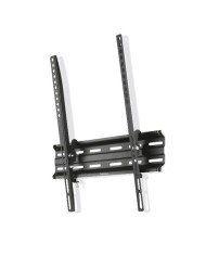 Supporto da Tavolo per Schermo Ewent EW1542 120 kg