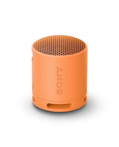 Altoparlante Bluetooth Portatile Sony SRSXB100D Arancio