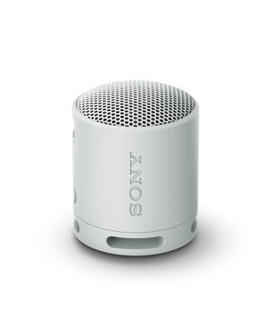 Altoparlante Bluetooth Portatile Sony SRSXB100H.CE7 Grigio