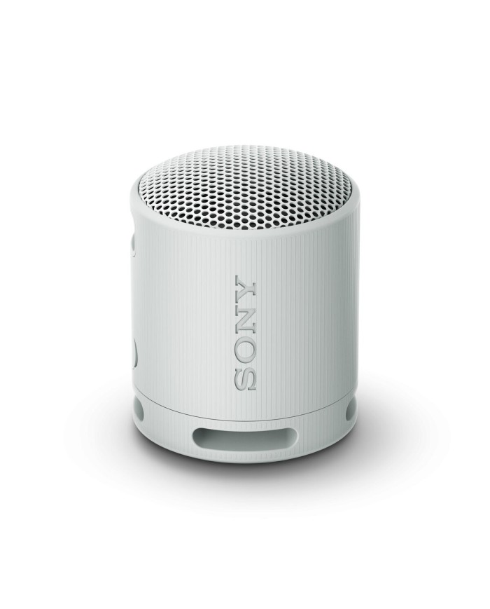 Altoparlante Bluetooth Portatile Sony SRSXB100H.CE7 Grigio Altoparlante Bluetooth Portatile Sony SRSXB100H.CE7 Grigio