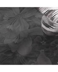 Federa HappyFriday Onyx Multicolore 60 x 60 cm