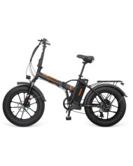 Bicicletta Elettrica Youin BK1201 TEXAS II 250 W 10400 mAh 20"