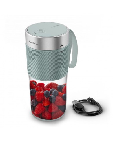 Frullatore Moulinex LM1C04 300 W 300 ml Frullatore Moulinex LM1C04 300 W 300 ml