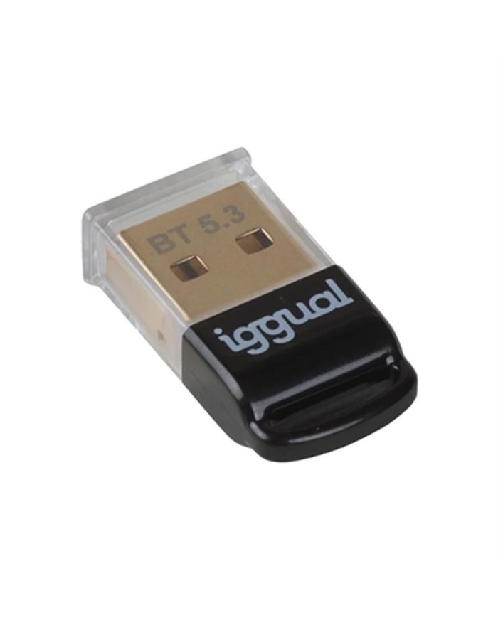 Adattatore Bluetooth iggual IGG319383 Adattatore Bluetooth iggual IGG319383