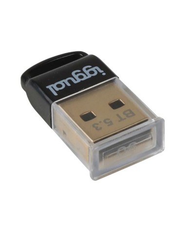 Adattatore Bluetooth iggual IGG319383 Adattatore Bluetooth iggual IGG319383