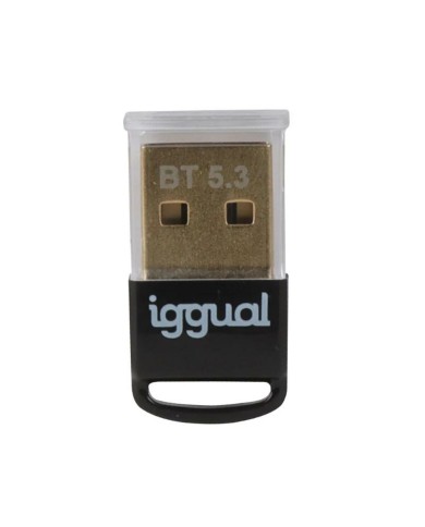 Adattatore Bluetooth iggual IGG319383