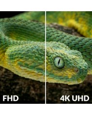 Sintonizzatore TDT STRONG SRT 8250 Sintonizzatore TDT STRONG SRT 8250