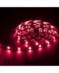 Webcam Logitech WW-9004 CAM 4K Ultra HD