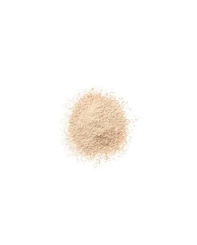 Polveri sfuse Clinique Blended Nº 03 Transparency 25 g Polveri sfuse Clinique Blended Nº 03 Transparency 25 g