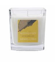 Candela Profumata Alyssa Ashley Shining Citrus 145 g