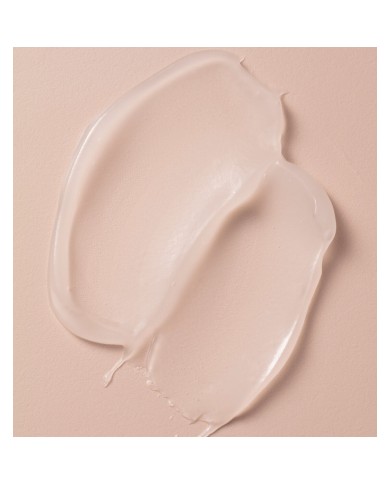 Primer trucco Collistar NOT 30 ml Mat Primer trucco Collistar NOT 30 ml Mat