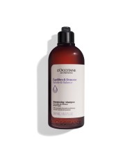 Shampoo L'Occitane En Provence AROMACHOLOGY 300 ml