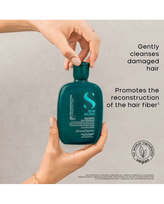 Shampoo Alfaparf Milano SEMI DI LINO 1 L