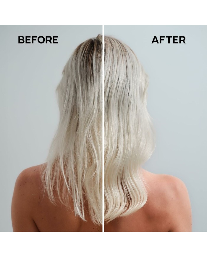 Shampoo Alfaparf Milano SEMI DI LINO 1 L