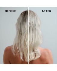 Shampoo Alfaparf Milano SEMI DI LINO 1 L