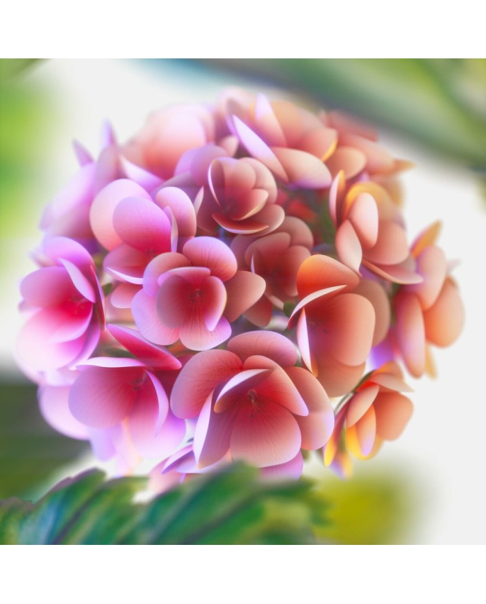 Profumo Uomo Tommy Hilfiger TOMMY NOW 100 ml Profumo Uomo Tommy Hilfiger TOMMY NOW 100 ml