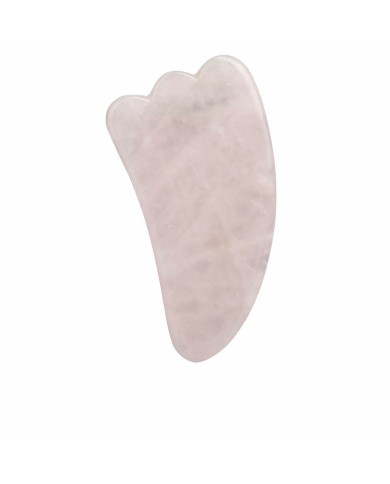 Spazzola per pulizia viso Paloma Beauties HIGIENE Y BIENESTAR Rosa Spazzola per pulizia viso Paloma Beauties HIGIENE Y BIENESTAR Rosa