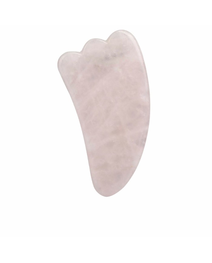 Spazzola per pulizia viso Paloma Beauties HIGIENE Y BIENESTAR Rosa