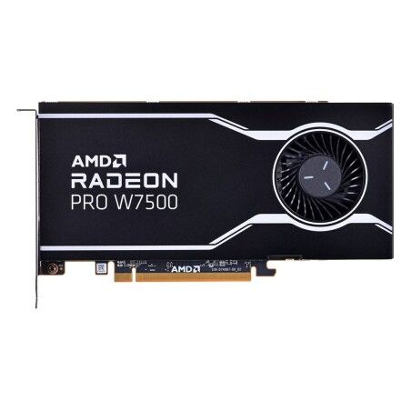 Graphics card AMD 100-300000078                  