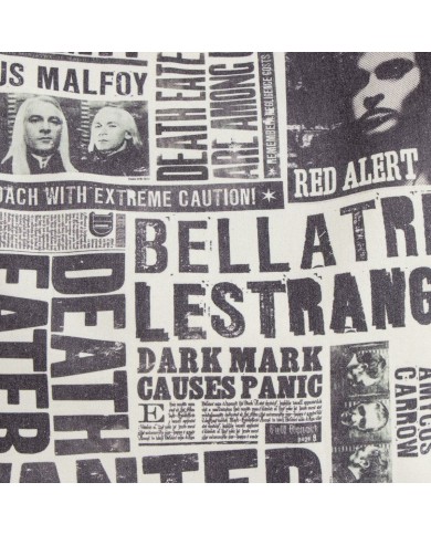 Borsa Donna Harry Potter Grigio 36 x 39 x 0,4 cm Borsa Donna Harry Potter Grigio 36 x 39 x 0,4 cm