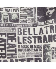 Borsa Donna Harry Potter Grigio 36 x 39 x 0,4 cm