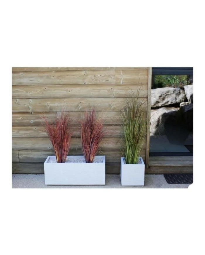 Vaso EDA Graphit Up Rettangolare Vaso EDA Graphit Up Rettangolare