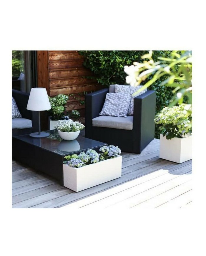 Vaso EDA Graphit Up Rettangolare Vaso EDA Graphit Up Rettangolare