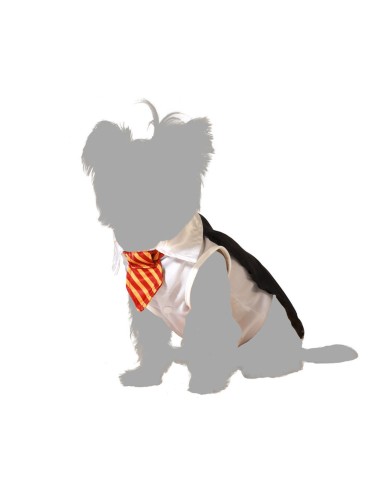 Costume per Cane Taglia S Mago Costume per Cane Taglia S Mago
