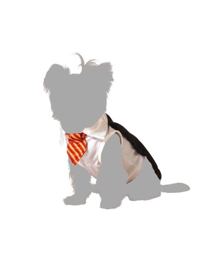Costume per Cane Taglia S Mago Costume per Cane Taglia S Mago