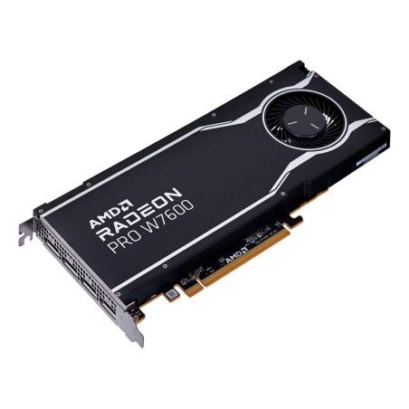 Graphics card AMD 100-300000077                  