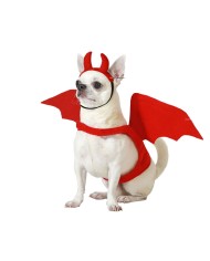 Costume per Cane Demonio Taglia M