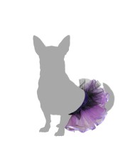 Costume per Cane Taglia S Tutù
