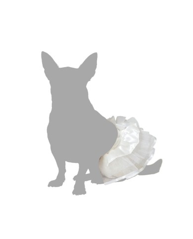 Costume per Cane Taglia L Tutù