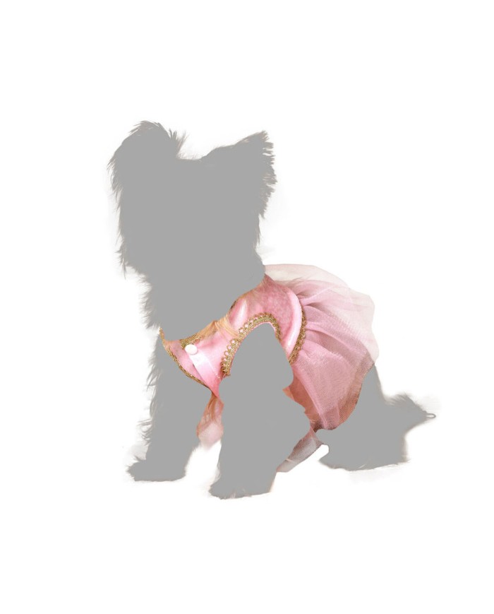 Costume per Cane Taglia L Ballerina Classica
